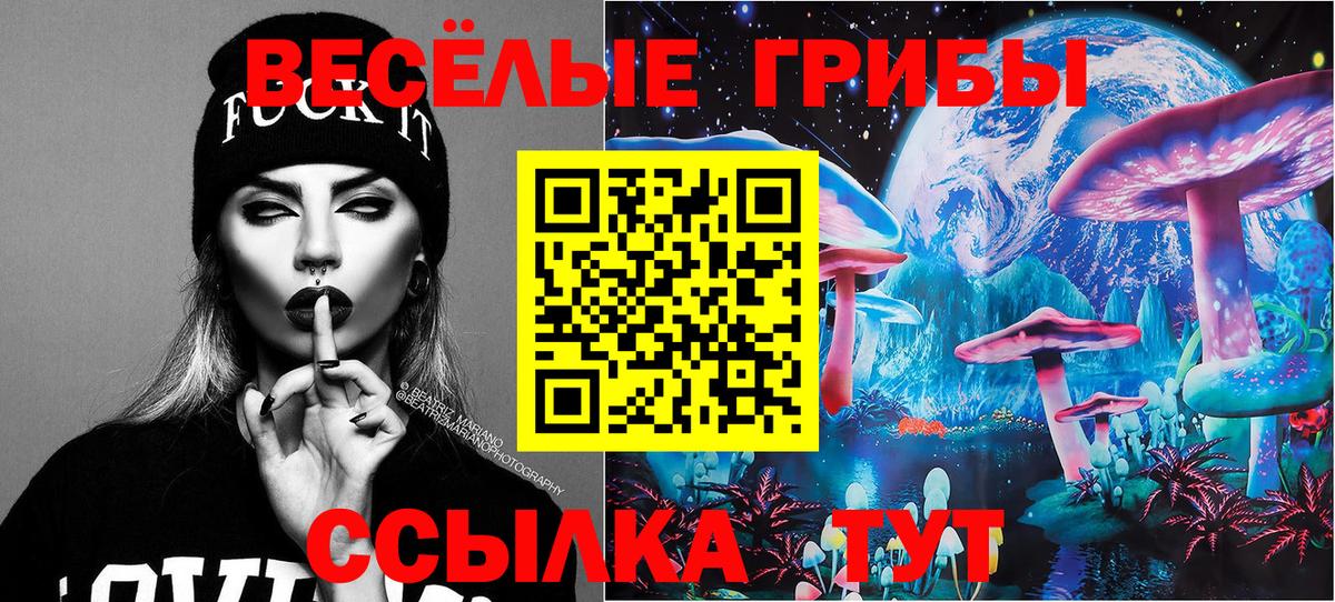 где купить наркоту  Псилоцибиновые грибы GOLDEN TEACHER  Вход с VPN  Тосно 